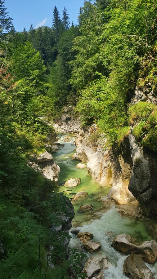 Alpenchalet Almrose เอาฟาค์ ภายนอก รูปภาพ